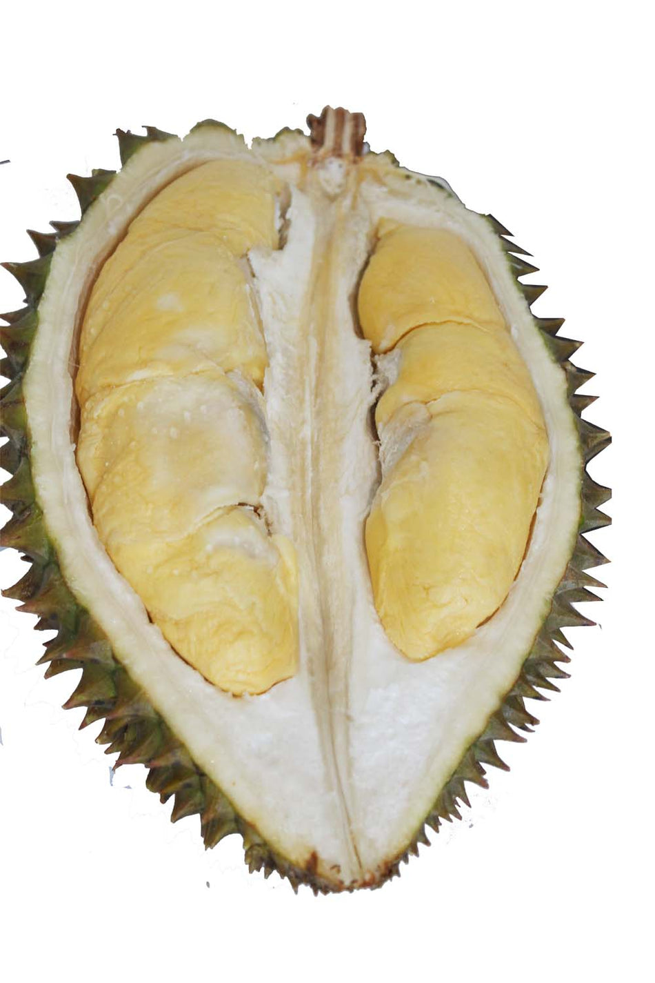 DT Premium Quality Durian