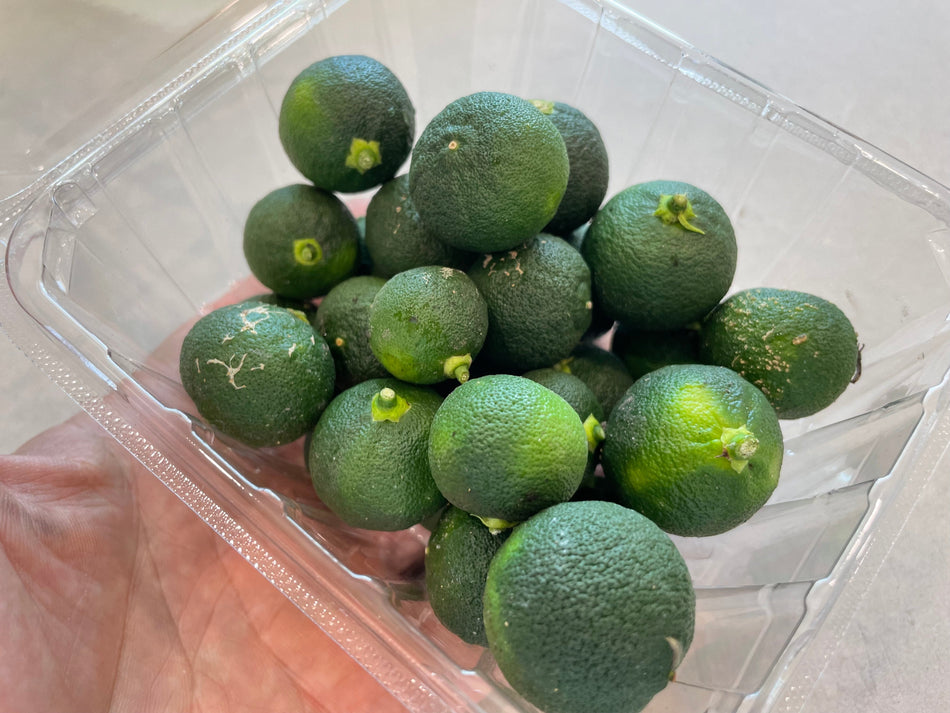 MAME SUDACHI (Baby SUDACHI) l Suzuki Farm l 1 pk approx 10-12pc
