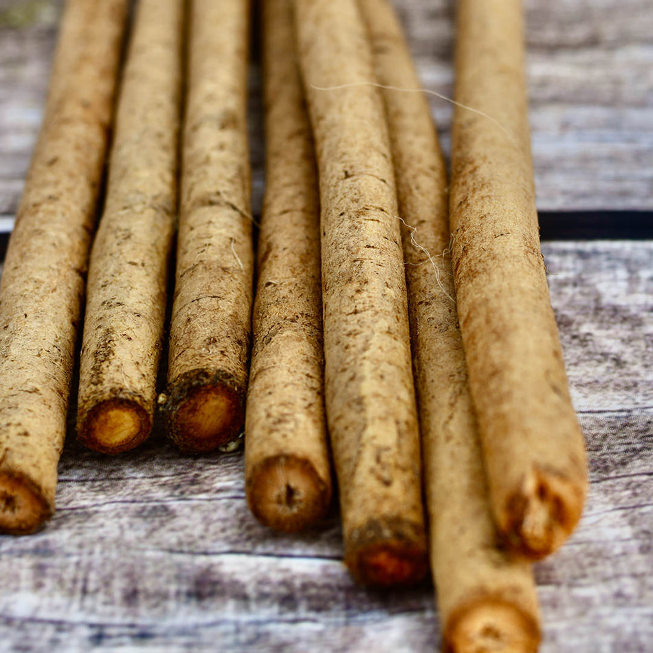 Gobo (Burdock Root) | From Our Suppliers | 1.0 lb