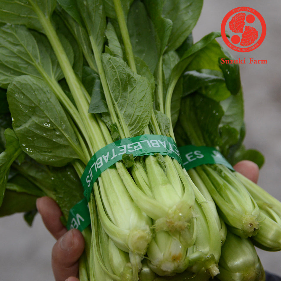 KOMATSUNA Leaves | Suzuki Farm | 1 bunch