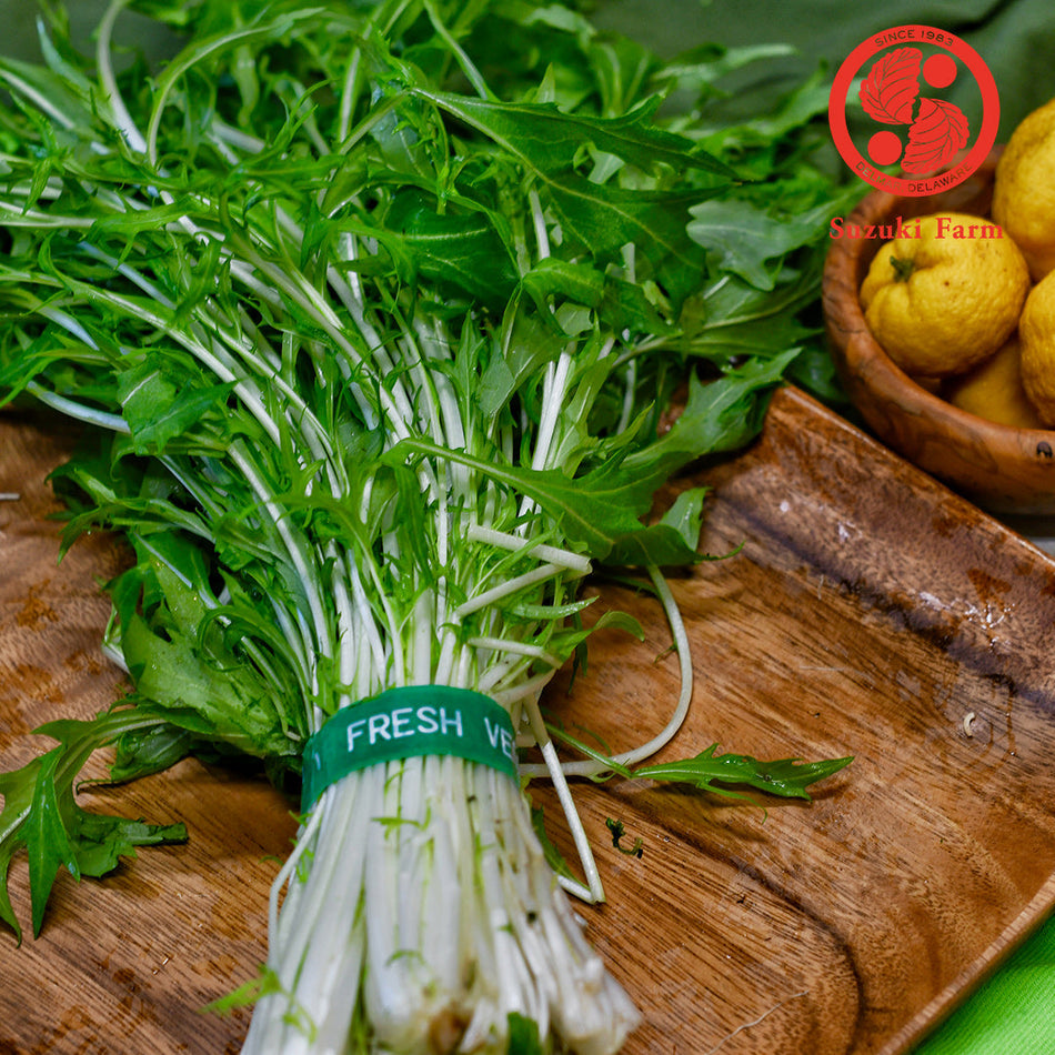 MIZUNA Leaves | Suzuki Farm | 1 bunch